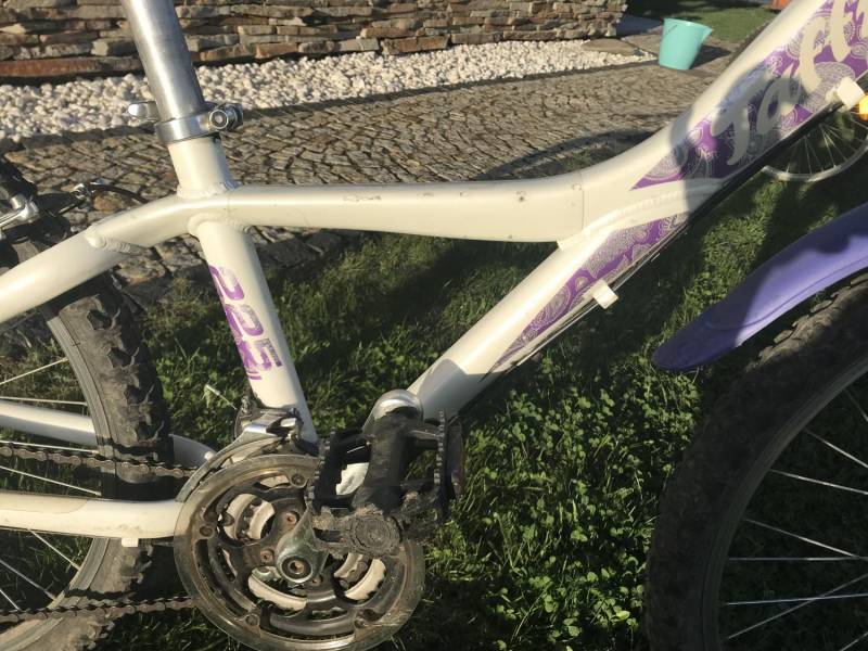 ox_rower-dzieciecy-giant-taffy-225-kola-24-junior-dziewczecy