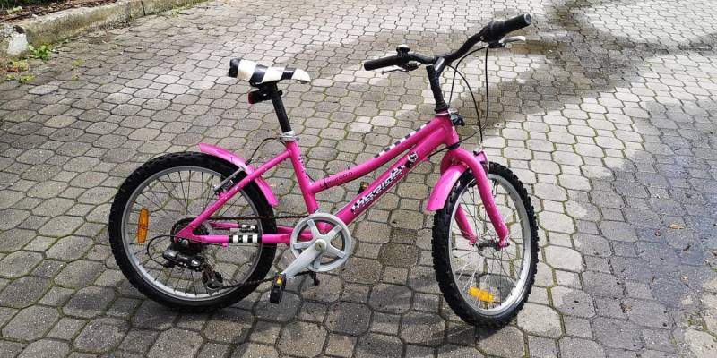 ox_rower-merida-lemuroo-dzieciecy-dla-dziewczynki