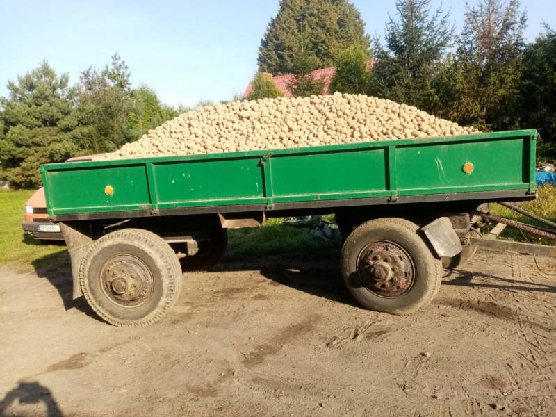 ox_ziemniaki-jadalne-sadzeniaki-vineta-z-1-szego-gatatunku-ok-600-kg