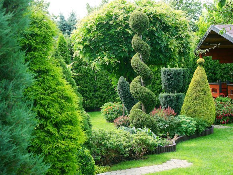 ox_uslugi-ogrodnicze-przycinanie-drzew-pielegnacja-i-porzadkowanie-ogrodu