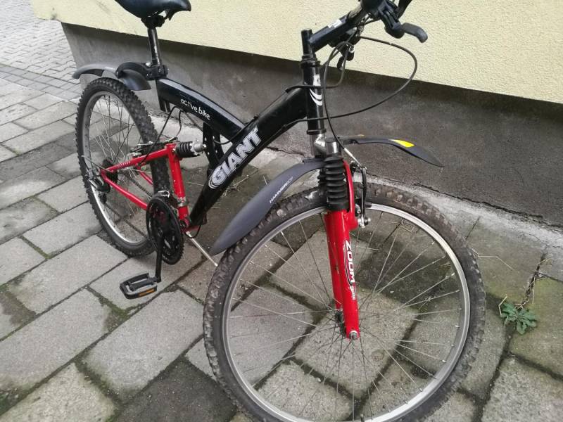 ox_rower-gorski-giant-active-bike