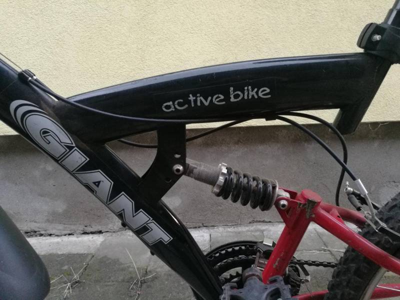 ox_rower-gorski-giant-active-bike