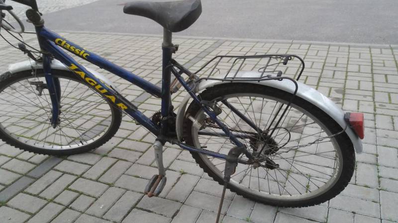 ox_rower-kola-26
