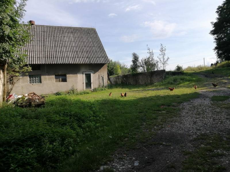 ox_gospodarstwo-rolne-z-budynkami-w-ogrodzonej