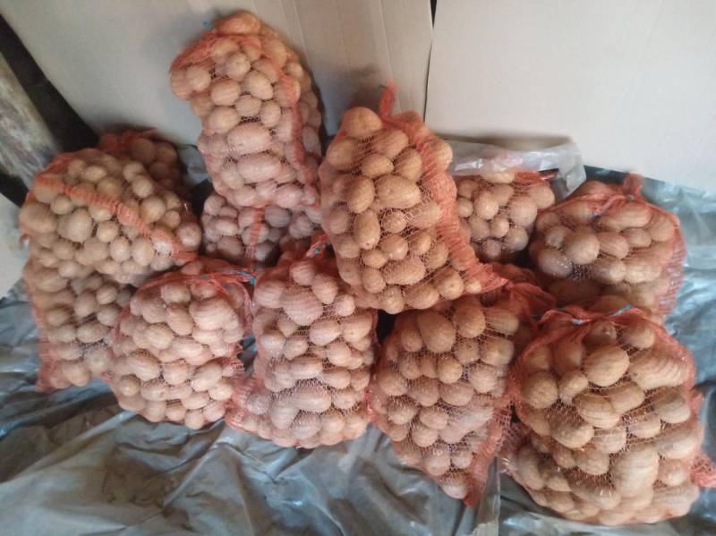 ox_ziemniaki-odm-gala-dowoz-do-20-km-przy-zakupie-minimum-150-kg
