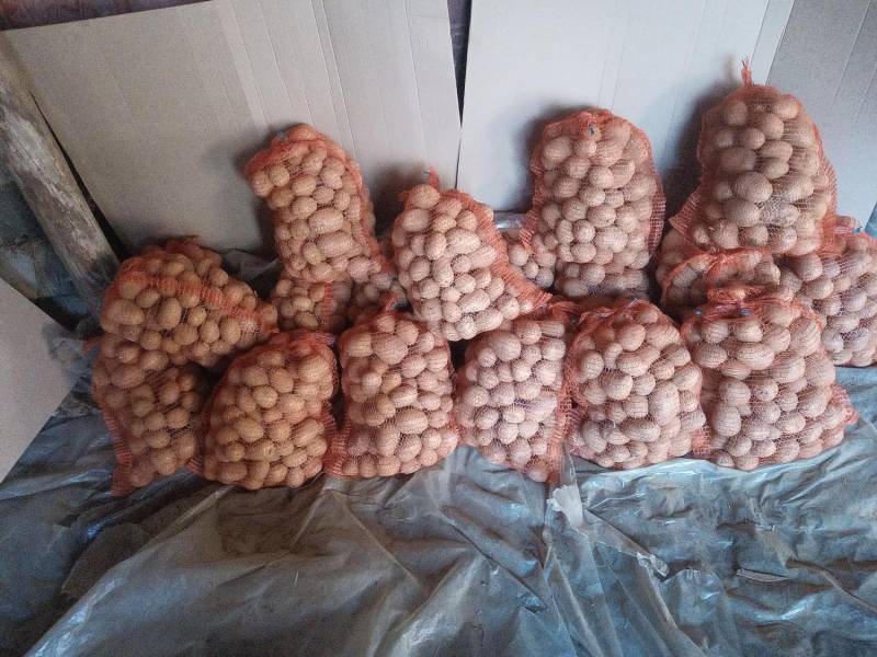 ox_ziemniaki-gala-dowoz-do-20-km-przy-zakupie-minimum-150-kg-i-wiecej