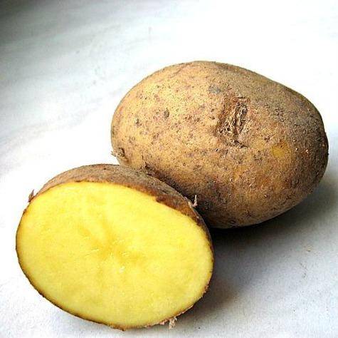 ox_ziemniaki-sadzeniaki-tanio-sprzedaje-teraz-jako-nadwyzke-ok-500-kg